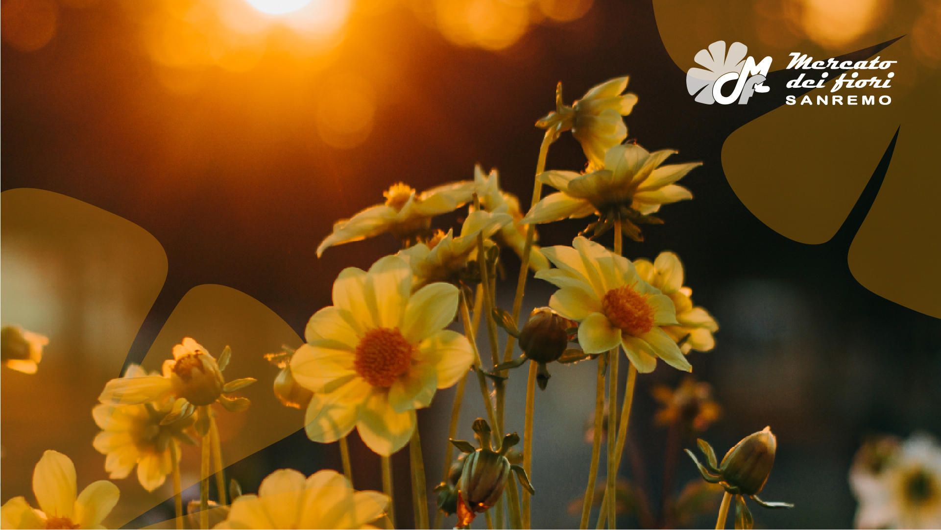 Il mercato dei Fiori in sintesi – Settembre 2025