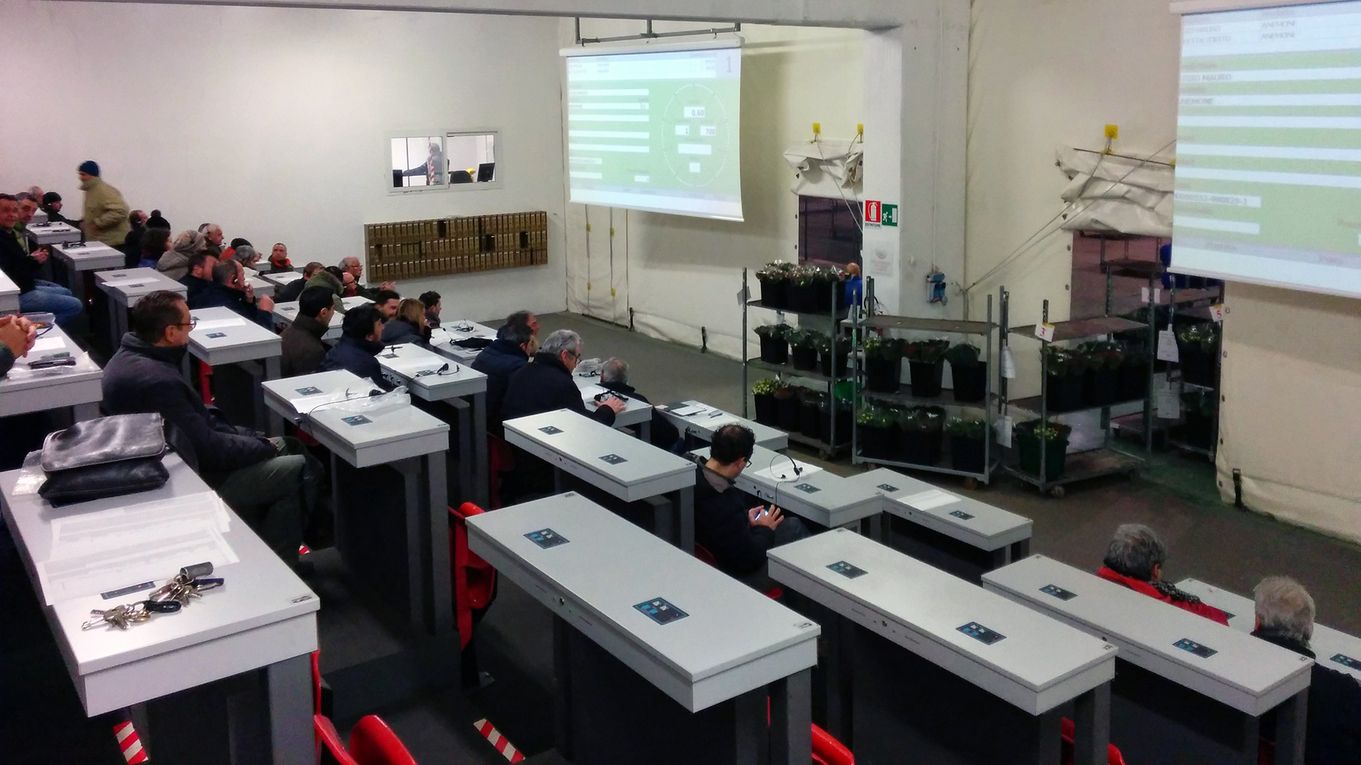 Mercato dei fiori: l’asta apre mercoledì 12 novembre