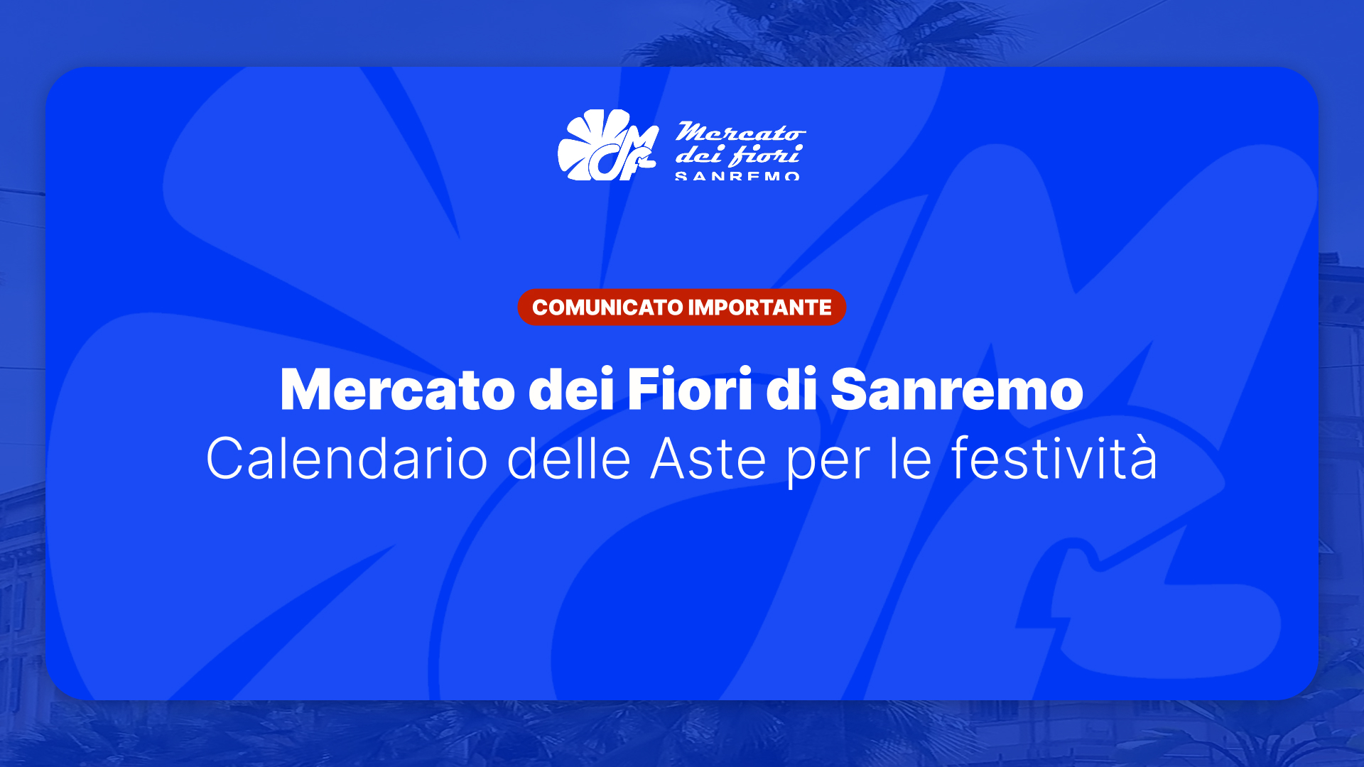 Mercato dei fiori di Sanremo: calendario delle Aste durante le festività  